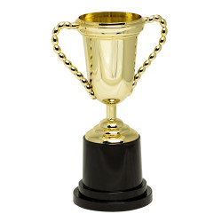 Trofej pohár pro vítěze 25 cm